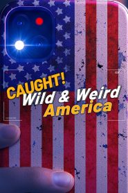 Wild & Weird America