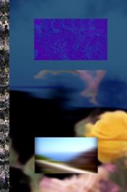 Queer Glitches, Failure Feminisms