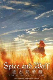 Spice and Wolf: MERCHANT MEETS THE WISE WOLF