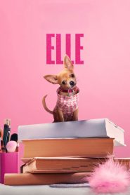 Elle